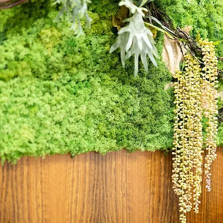 Palazzo Iozzino - Luxury Centro Pompeji